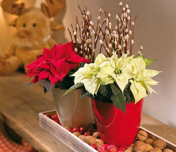 Decorate Christmas with 45 ideas poinsettias the holidays’ most loved plant_41