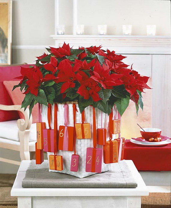 Decorate Christmas with 45 ideas poinsettias the holidays’ most loved plant_43