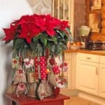 Decorate Christmas with poinsettias (1)