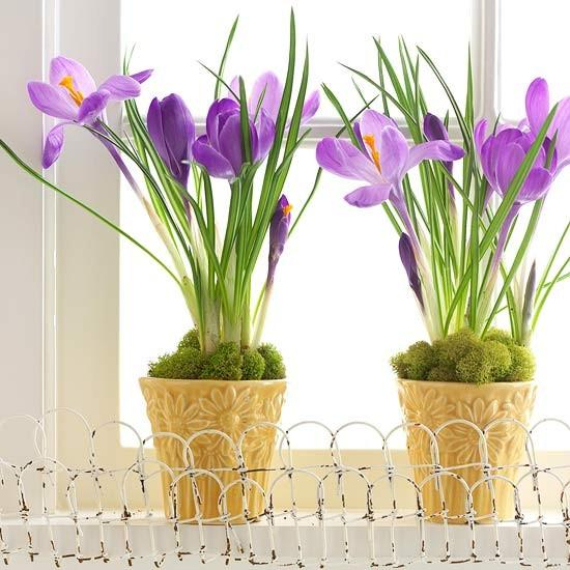 Beautiful Ideas For The Spirit Of Easter And Spring Into Your Home Decor (45)