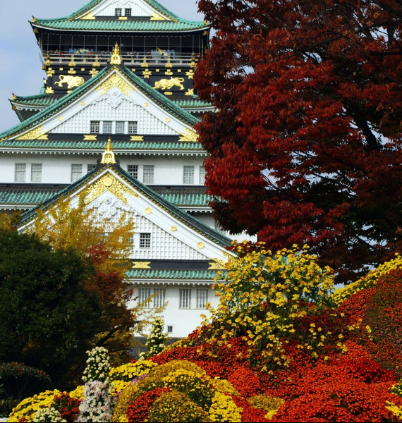 The Harmony and Beauty outside the Osaka Castle Japan (11)