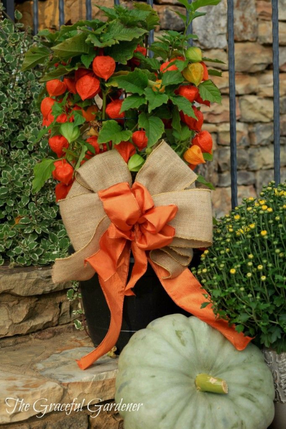 Cool Orange Fall &Thanksgiving Decorating Ideas with Chinese Lanterns  (11)