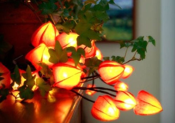 Cool Orange Fall &Thanksgiving Decorating Ideas with Chinese Lanterns  (3)