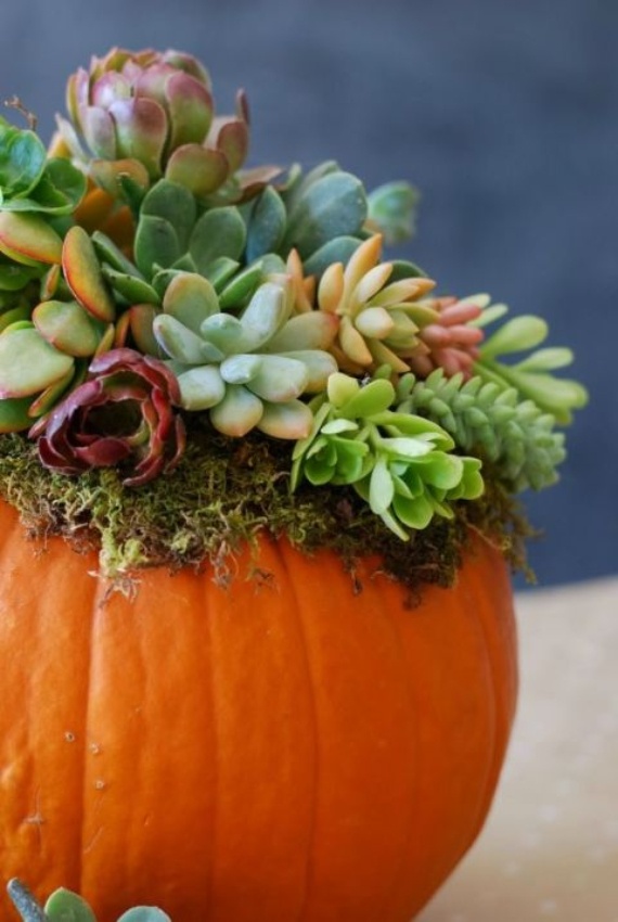 New Ways to Decorate Your Halloween Pumpkins (48)
