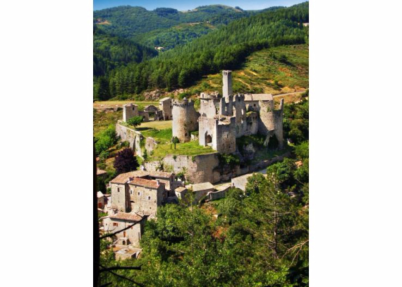 Chateau-De-Baloigne-Rhone-Alpes- (14)