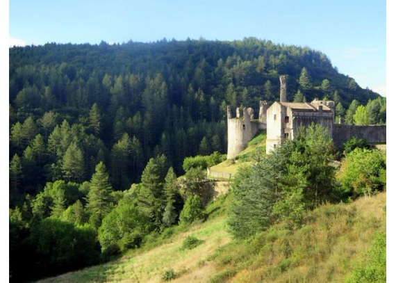 Chateau-De-Baloigne-Rhone-Alpes- (25)