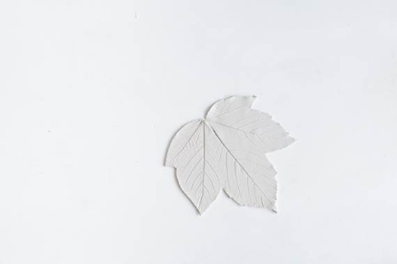 Multipurpose Decorative leaves For All Occasions (10)