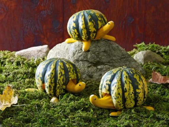 Ways to Decorate for Fall, Halloween and Thanksgiving With Pumpkins (14)