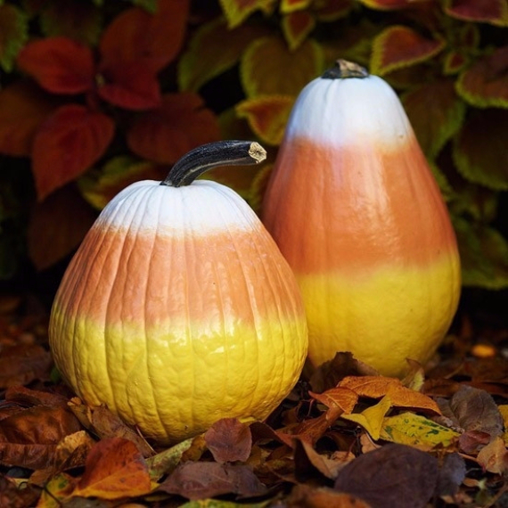 Ways to Decorate for Fall, Halloween and Thanksgiving With Pumpkins (21)