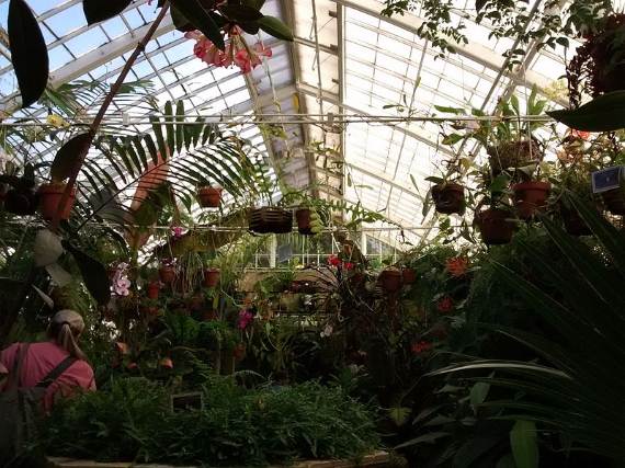 conservatory_of_flowers_lowlands1