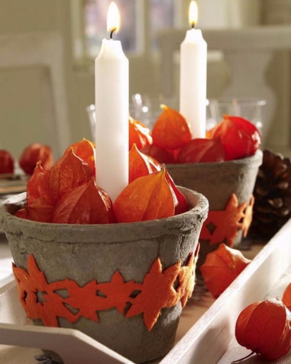 Elegant and Easy Thanksgiving Table Decorations Ideas ‎ ( (7)