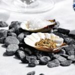 40 Nautical Maritime Shell Décor and Craft Activity For Beach Collectors_20-min