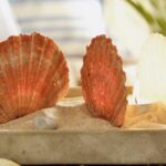 40 Nautical Maritime Shell Décor and Craft Activity For Beach Collectors_25-min