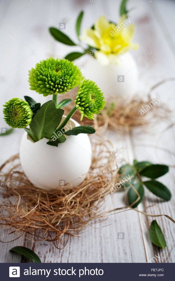 fresh-flowers-in-egg-shells