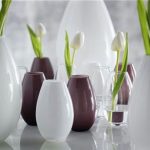 Decorate the home with tulips