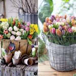 Decorate the home with tulips11