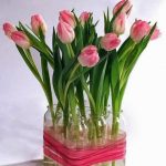 Decorate the home with tulips19