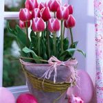 Decorate the home with tulips23