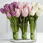 Decorate the home with tulips3