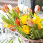 Decorate the home with tulips33