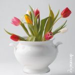 Decorate the home with tulips37