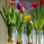 tulip_home_decor_01