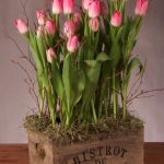 tulip_home_decor_35