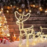 Christmas Reindeer With Lights