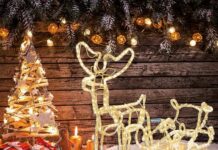Unique Christmas Reindeer Decoration Ideas that will be the Star of Your Christmas Décor