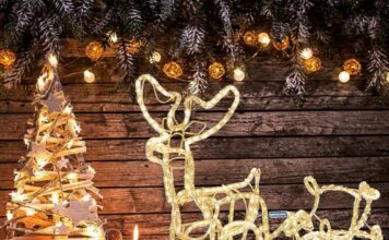 Unique Christmas Reindeer Decoration Ideas that will be the Star of Your Christmas Décor