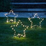 Christmas-Stars-Garden-Stake-Lights