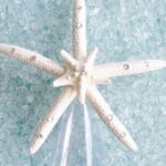Starfish Christmas Tree Topper