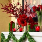 christmas-cranberry-and-red-berries-decorating-combo3-2