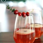 christmas-cranberry-and-red-berries-decorating-misc2-4