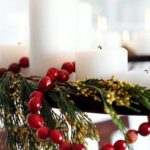 christmas-cranberry-and-red-berries-decorating-shape2-1