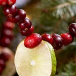 christmas-cranberry-and-red-berries-decorating-shape2-3