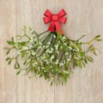 mistletoe-decoration 1 (1)