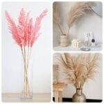 Pampas Grass Decoration Ideas And Tips31