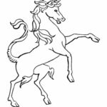 Unicorn coloring pages for children and adult19