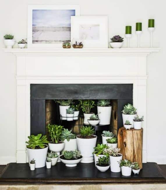 20 Inspirations to decorate the fireplace in the summer!