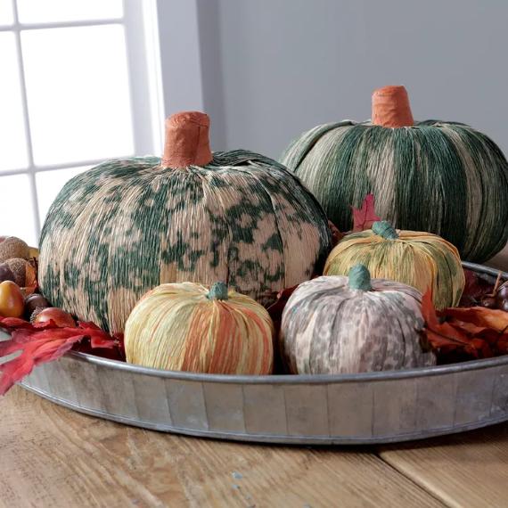 A decorative tray filled with assorted pumpkins, showcasing their vibrant colors and unique shapes.