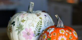 65 Non-Traditional Colorful Décor Ideas For Fall