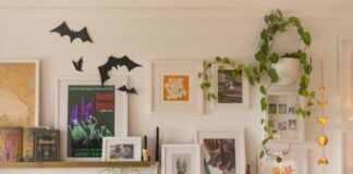 DIY & Outdoor Halloween Curb Appeal Guide A cozy wall display features framed art, a shelf with books, and a hanging plant. Black paper bats and a web add a playful, Halloween touch.