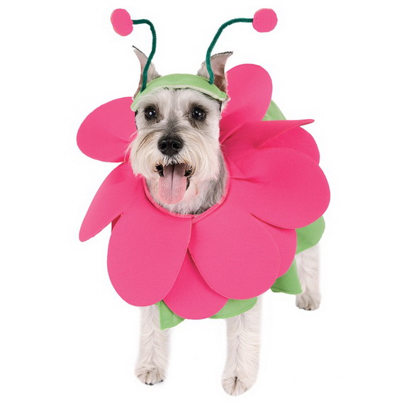 A small dog in a cheerful bright pink flower costume with a green body suit and antennae. The dog looks happy with its tongue out.